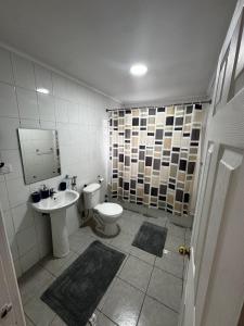 Billede fra billedgalleriet på Casa Grande en Osorno central en parcela 2 para 6 p i Osorno