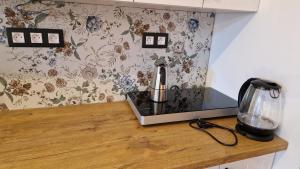 a kitchen counter with a blender on top of it at Fantastic in Doksy