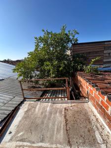 a tree sitting on top of a brick wall at La Casita de Nataly in Santa Ana