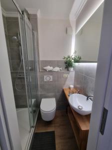 a bathroom with a toilet and a sink and a shower at Appartement Am Rückersberg in Gelnhausen