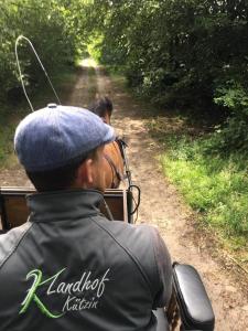 a man riding a horse drawn carriage down a dirt road at Landhof Kützin Ferienhaus 6 Specht in Wulfskuhl