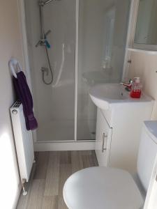 een badkamer met douche, toilet en wastafel bij Mobilheim Küstenschwalbe am Kransburger See 553 in Kransburg