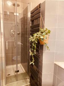 Koupelna v ubytování Porta a Piastri Apartment