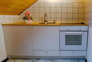Kuchyň nebo kuchyňský kout v ubytování Ferienwohnung Schlossblick Schillingsfürst