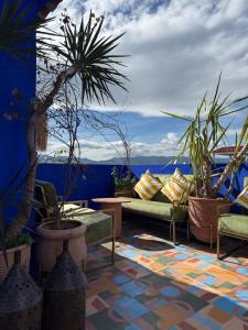 a patio with plants and couches on a blue wall at Casa Amina in Chefchaouene