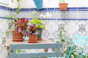 Bazén v ubytovaní Las Brisas Estepona alebo v jeho blízkosti