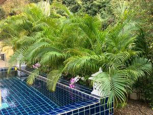 ホアヒンにあるKluai Mai Luxury Pool Villa, Panorama Resortのギャラリーの写真