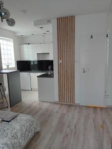 Kuchyňa alebo kuchynka v ubytovaní Apartament z łożem małżeńskim - bezpłatny parking