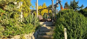 リントベルクにあるWildnisresidenz am Nationalpark - FeWo mediterranの茂みや木々に囲まれた石の階段