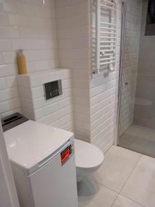 Kúpeľňa v ubytovaní Apartament z łożem małżeńskim - bezpłatny parking