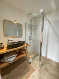 un bagno con doccia, lavandino e specchio di Comfortable holiday villa with spa a Lacanau