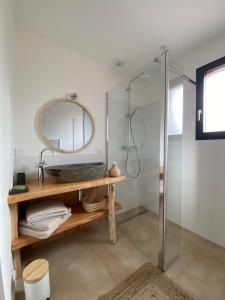 bagno con doccia e specchio di Comfortable holiday villa with spa a Lacanau