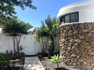 Zahrada ubytování Oasis en Lanzarote
