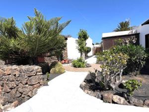 Zahrada ubytování Oasis en Lanzarote
