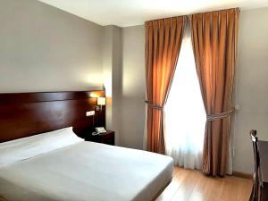 Postel nebo postele na pokoji v ubytování Hotel Campos de Castilla