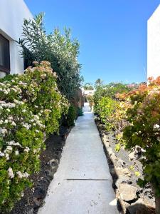 Zahrada ubytování Oasis en Lanzarote