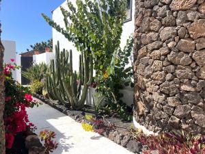 Zahrada ubytování Oasis en Lanzarote