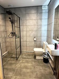 a bathroom with a shower and a toilet and a sink at Malahide Guest Rooms in Malahide +37 photos