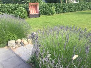 Zahrada ubytování Ostseelicht