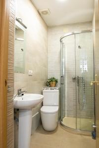 a bathroom with a toilet and a sink and a shower at Estudio Alojaguay in Valladolid