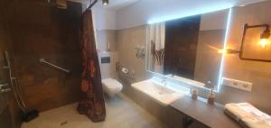 a bathroom with a toilet and a sink and a shower at Kastaniennest in Bingerbrück