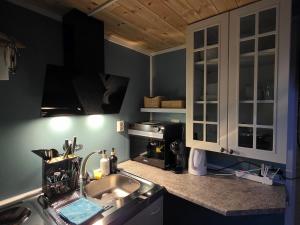 a kitchen with a sink and a stove at The Perfect Stop - Pinewood Loft in Lødingen +16 photos