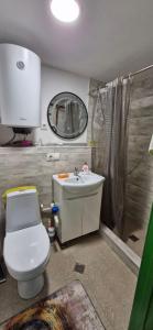 Un baño con inodoro, lavabo y espejo. en Green apartment, en Tiflis