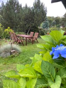 Zahrada ubytování Ferienhaus im Harz, direkt am Wald, Terrasse&Garten, Grill, ruhige Lage, WLAN, Wandern,