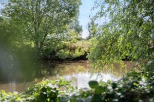 Příroda nedaleko prázdninového domu