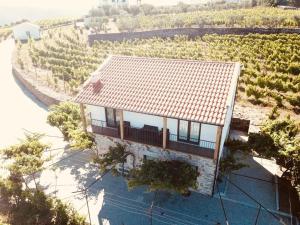 eine Luftansicht eines Hauses mit Dach in der Unterkunft Casas da Pereira in Barcos