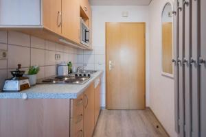 费马恩Knusthof Lafrenz - Apfelhofblick的带水槽和台面的厨房