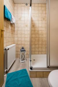 费马恩Knusthof Lafrenz - Apfelhofblick的带淋浴、马桶和水槽的浴室