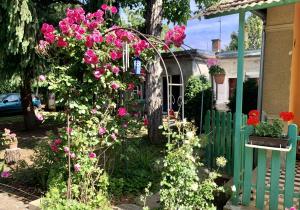 Giardino di Two rooms with bath