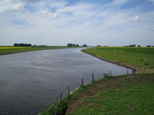 a body of water in a field with grass at Haus Halligblick, Ferienwohnungen am Wattenmeer, Whg Hamburger Hallig in Dagebüll