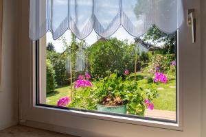 Zahrada ubytování Ferienwohnung Fichtelsonne