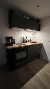 a kitchen with a sink and a microwave at Wellness Appartement Eifelglück in Pelm +14 photos