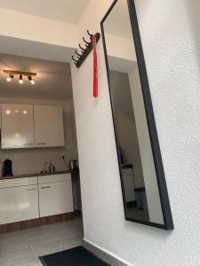 Kuchyň nebo kuchyňský kout v ubytování Ferienwohnung Ilmradweg + 13 fotografií