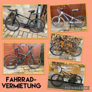 Jízda na kole v ubytování Ferienwohnung Ilmradweg nebo okolí
