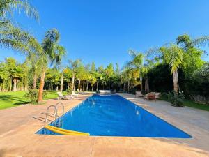 a swimming pool in a yard with palm trees at Villa Marrakech, 15 min from center, Disco, Hammam in Marrakesh