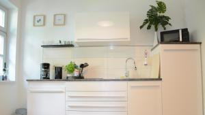 Kuchyň nebo kuchyňský kout v ubytování Rosenwinkel Appartement im EG