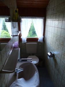 ein Badezimmer mit Waschbecken und Toilette und einem Fenster in der Unterkunft Ferienhaus Rombach Wohnung A in Wieden