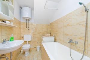 y baño con lavabo, aseo y ducha. en Apartman Monkovic, en Mokošica