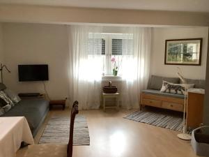 a living room with a couch and a tv at Hanni und Nanni in Haldenwang