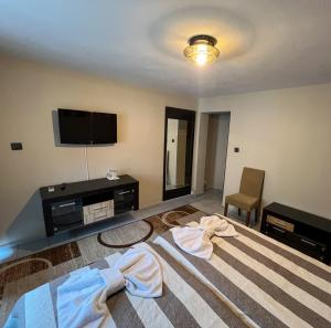 TV a/nebo společenská místnost v ubytování ALPHA family HOTEL