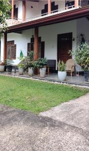 Zahrada ubytování Serendip Villa Holiday Home Talalla Sri Lanka