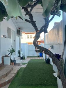 Zahrada ubytování New Garden