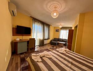 TV a/nebo společenská místnost v ubytování ALPHA family HOTEL