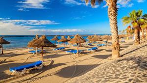 a beach with straw umbrellas and chairs and the ocean at Cool Duplex in Playa las Americas in Playa de las Americas