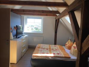 a bedroom with a bed and a television in a attic at Haus Galgenbruch in Feldberg