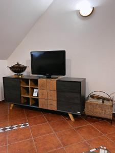 TV a/nebo společenská místnost v ubytování Apartma Neja Rogla